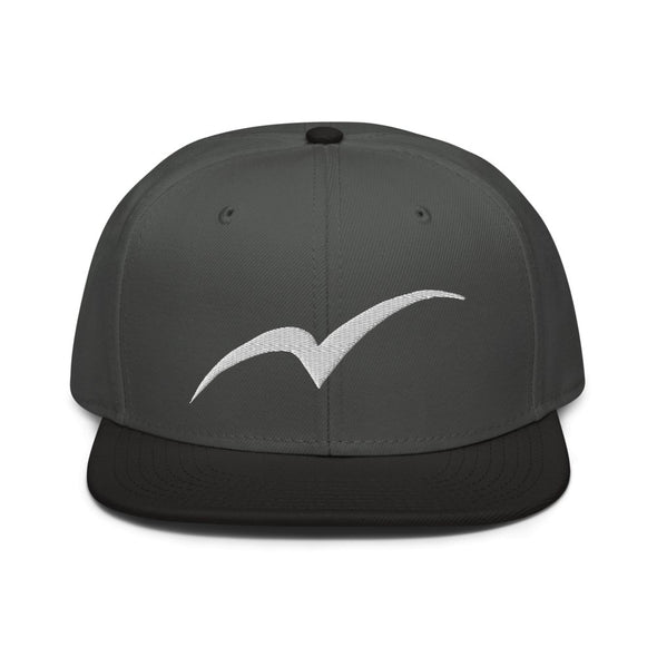 Snapback Hat - Next Tern Symbol