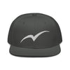 Snapback Hat - Next Tern Symbol