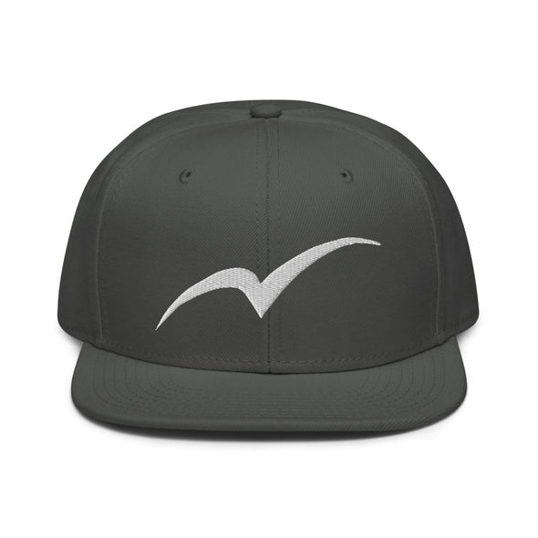 Snapback Hat - Next Tern Symbol