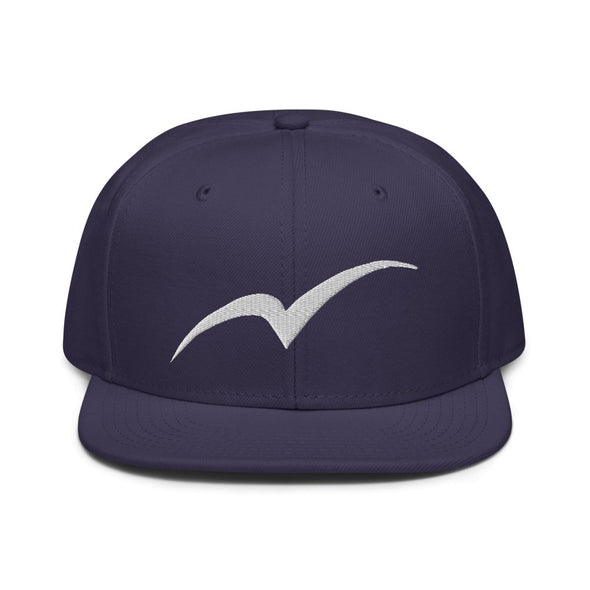 Snapback Hat - Next Tern Symbol